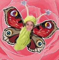 Anna Butterfly